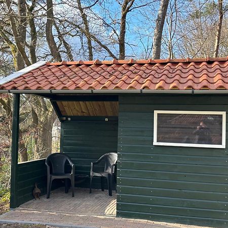 Vakantiehuis De Witte Bergen IJhorst Екстер'єр фото